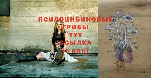 мяу мяу мука Абдулино