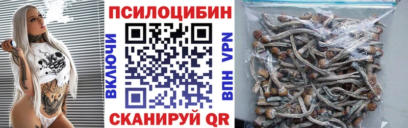 hydra как зайти Октябрьский Галлюциногенные грибы Psilocybe цена