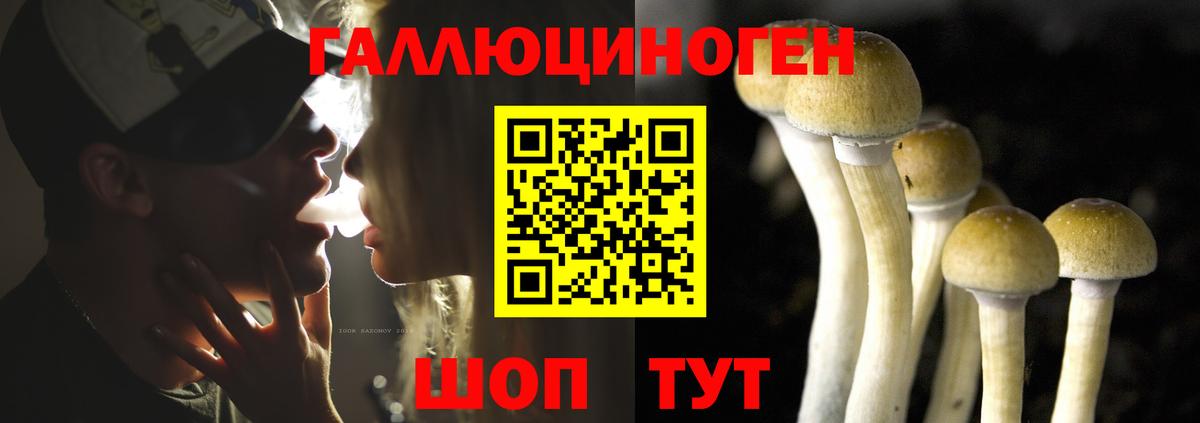 Псилоцибиновые грибы MAGIC MUSHROOMS  Вход с VPN  Октябрьский 
